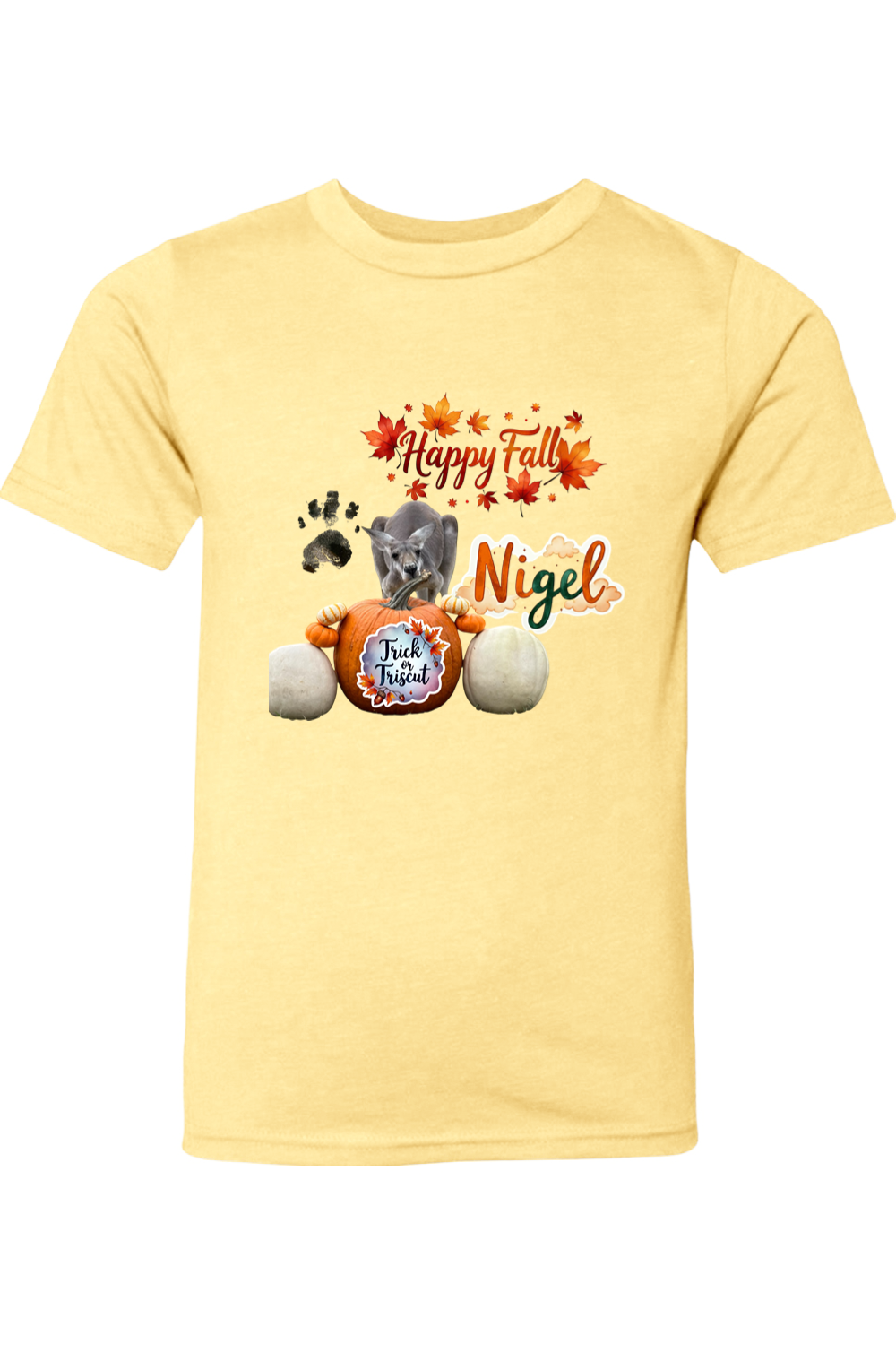 Happy Fall 1 Youth T-shirt