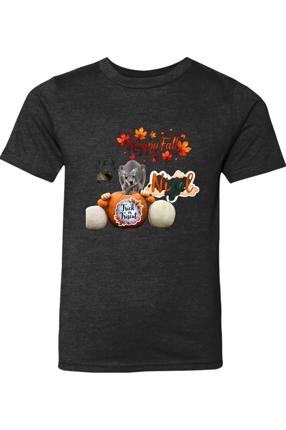 Happy Fall 1 Youth T-shirt