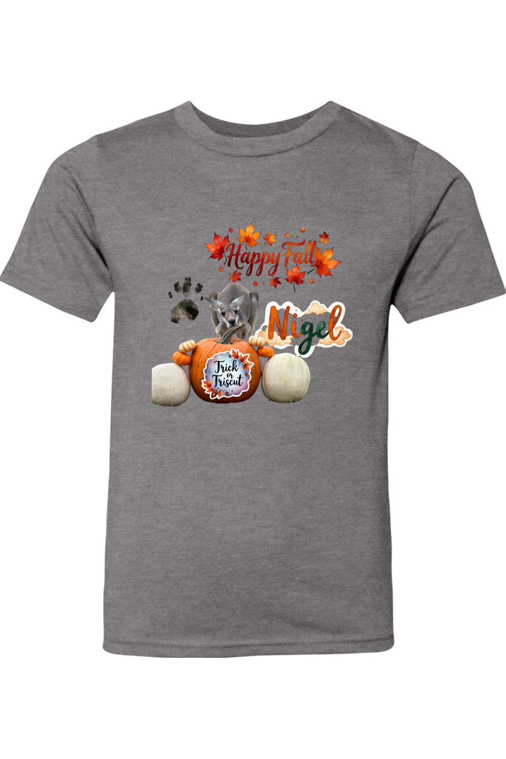 Happy Fall 1 Youth T-shirt