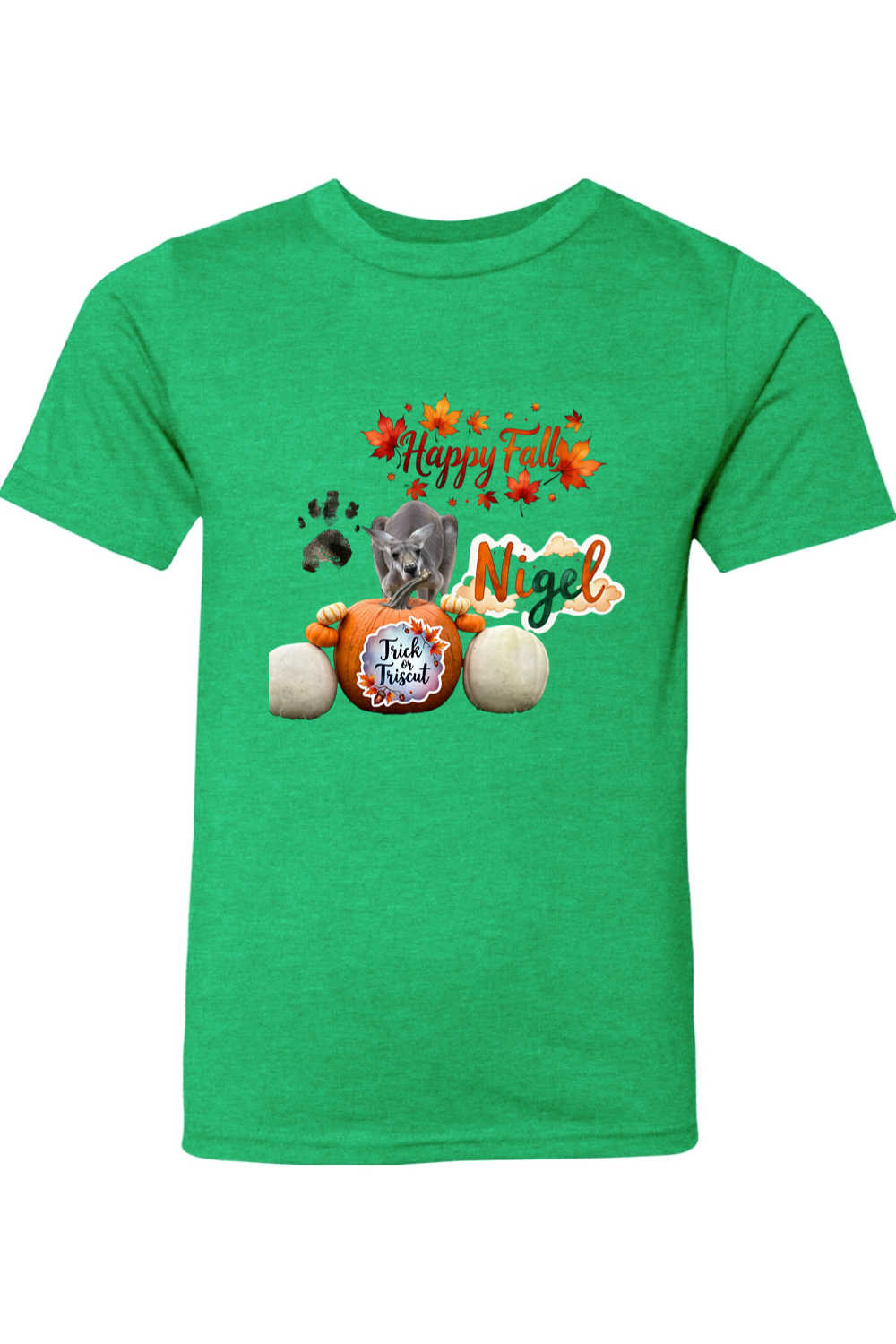 Happy Fall 1 Youth T-shirt