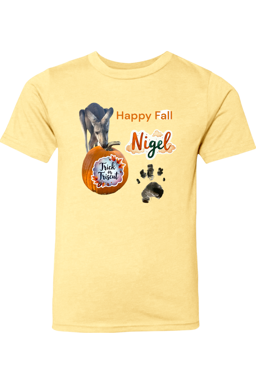 Happy Fall 2 Youth T-shirt
