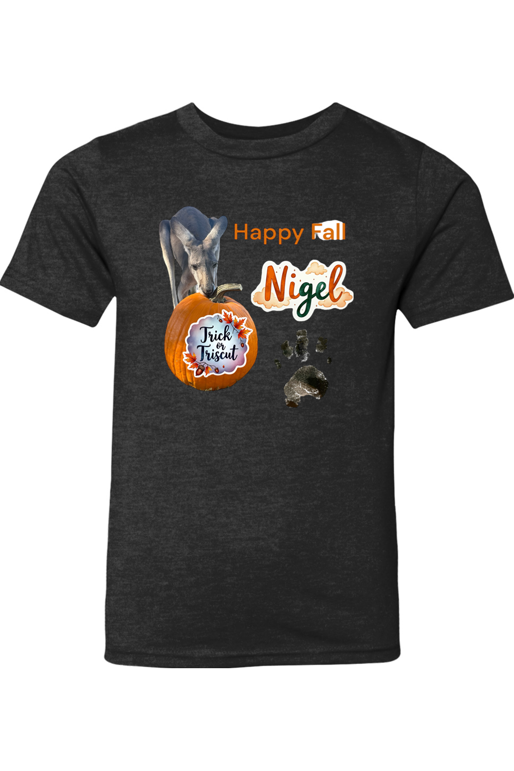 Happy Fall 2 Youth T-shirt