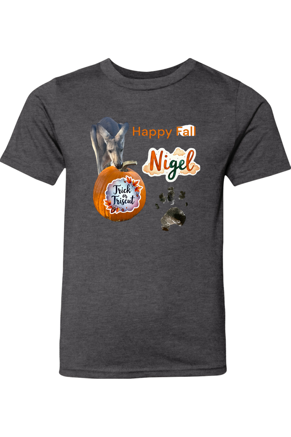 Happy Fall 2 Youth T-shirt