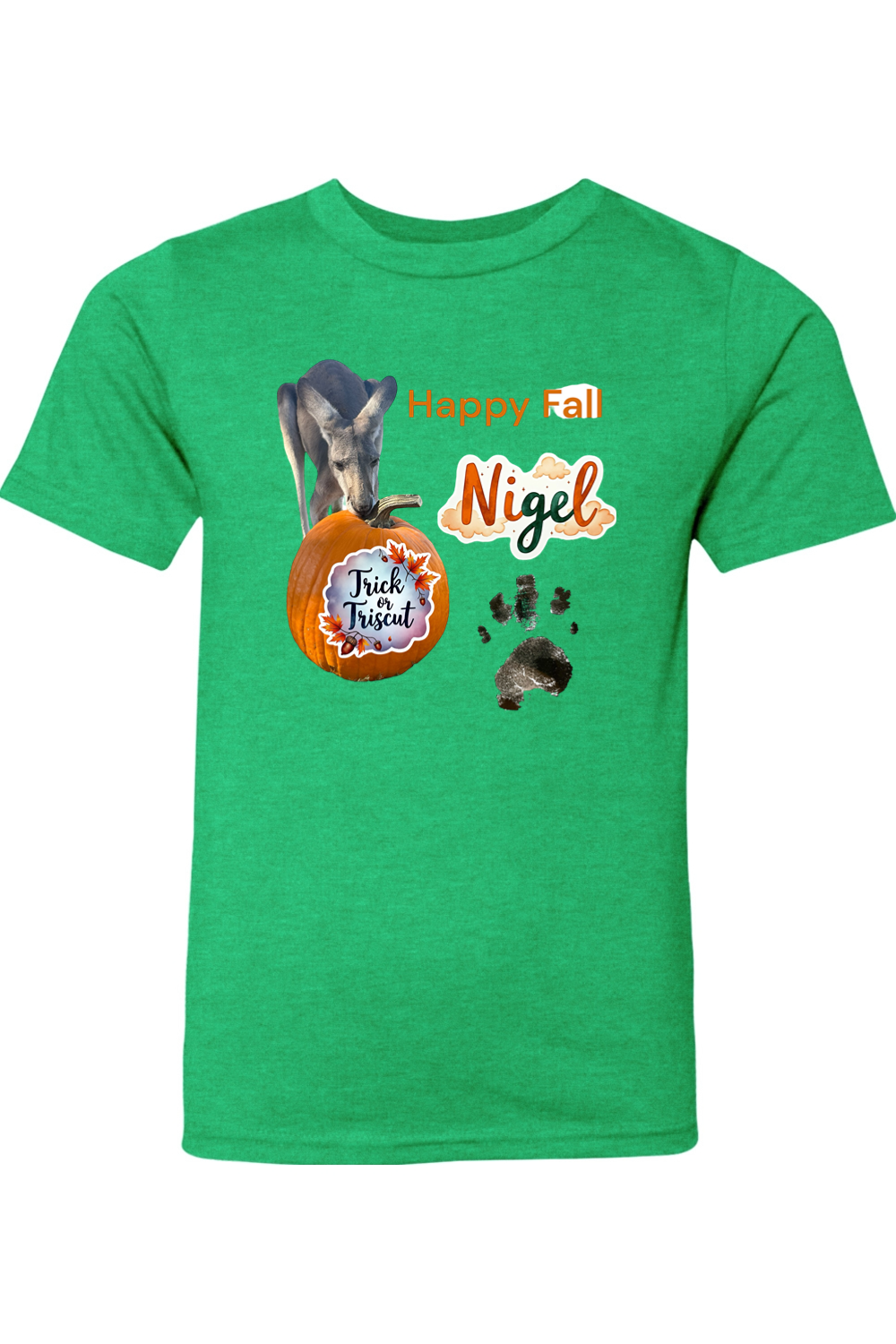 Happy Fall 2 Youth T-shirt