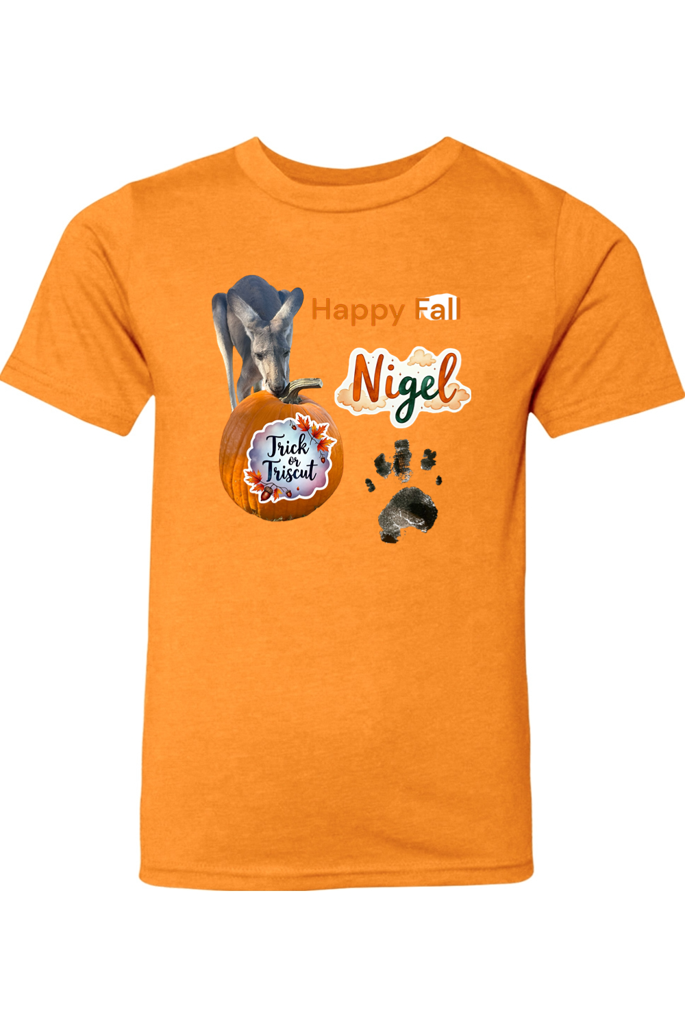 Happy Fall 2 Youth T-shirt