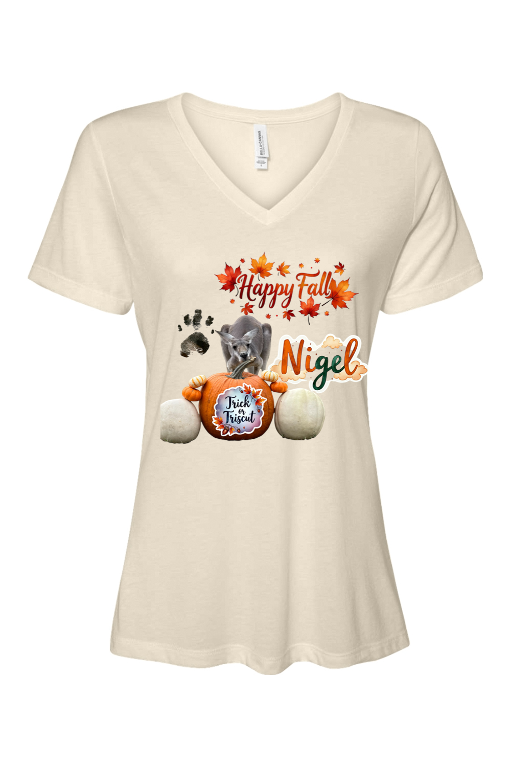 Happy Fall 1 Relaxed Fit Womens T-shirt