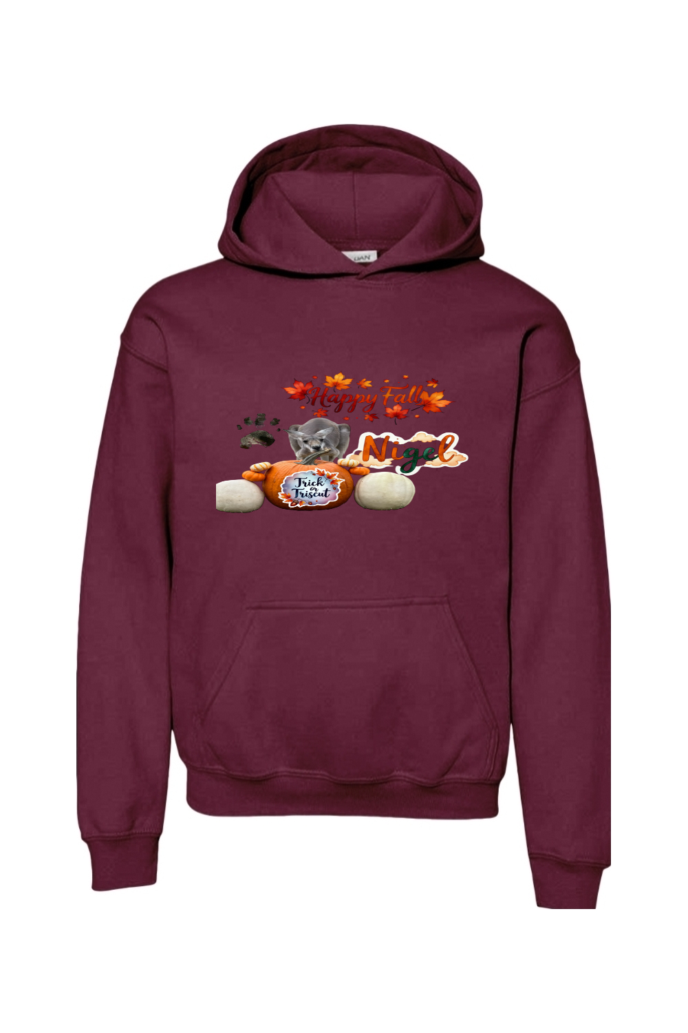 Happy Fall 1 Unisex Youth Hoodie