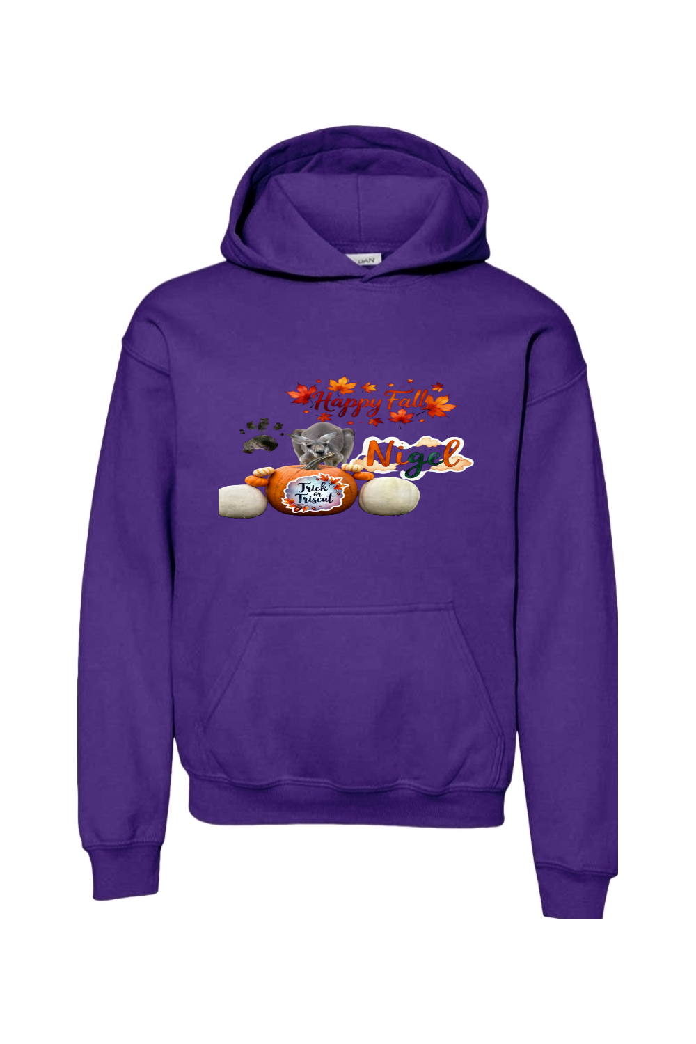 Happy Fall 1 Unisex Youth Hoodie