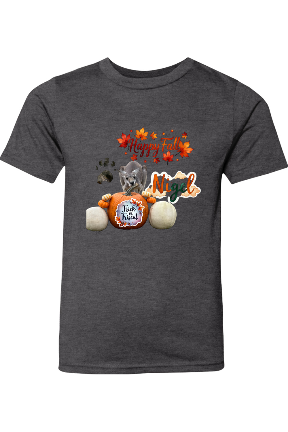 Happy Fall 1 Youth T-shirt