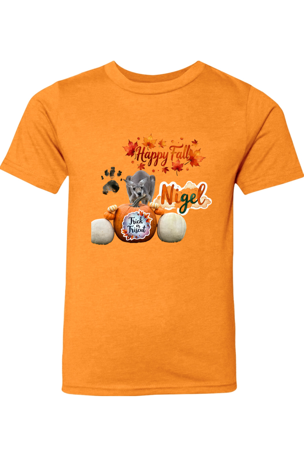 Happy Fall 1 Youth T-shirt