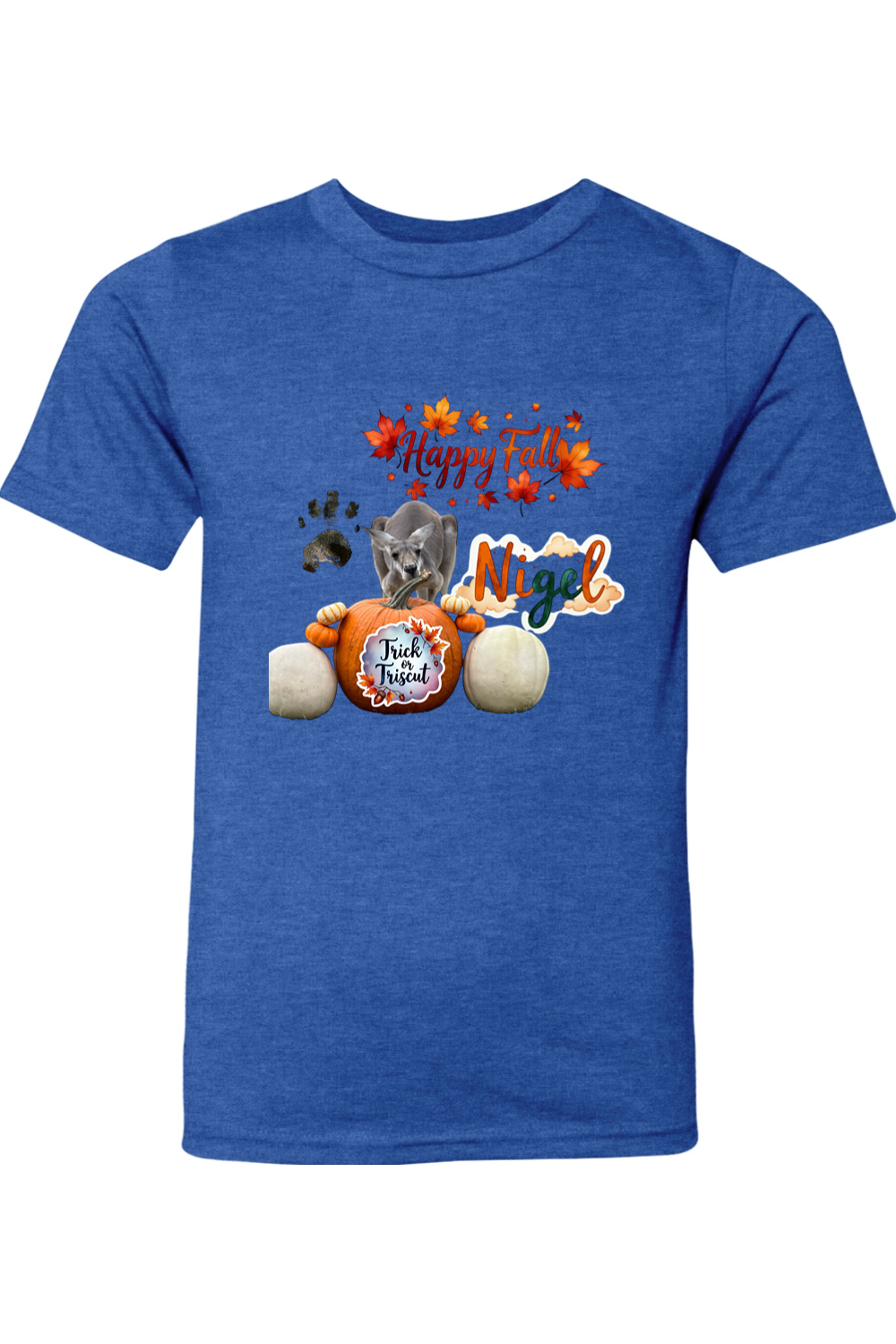 Happy Fall 1 Youth T-shirt