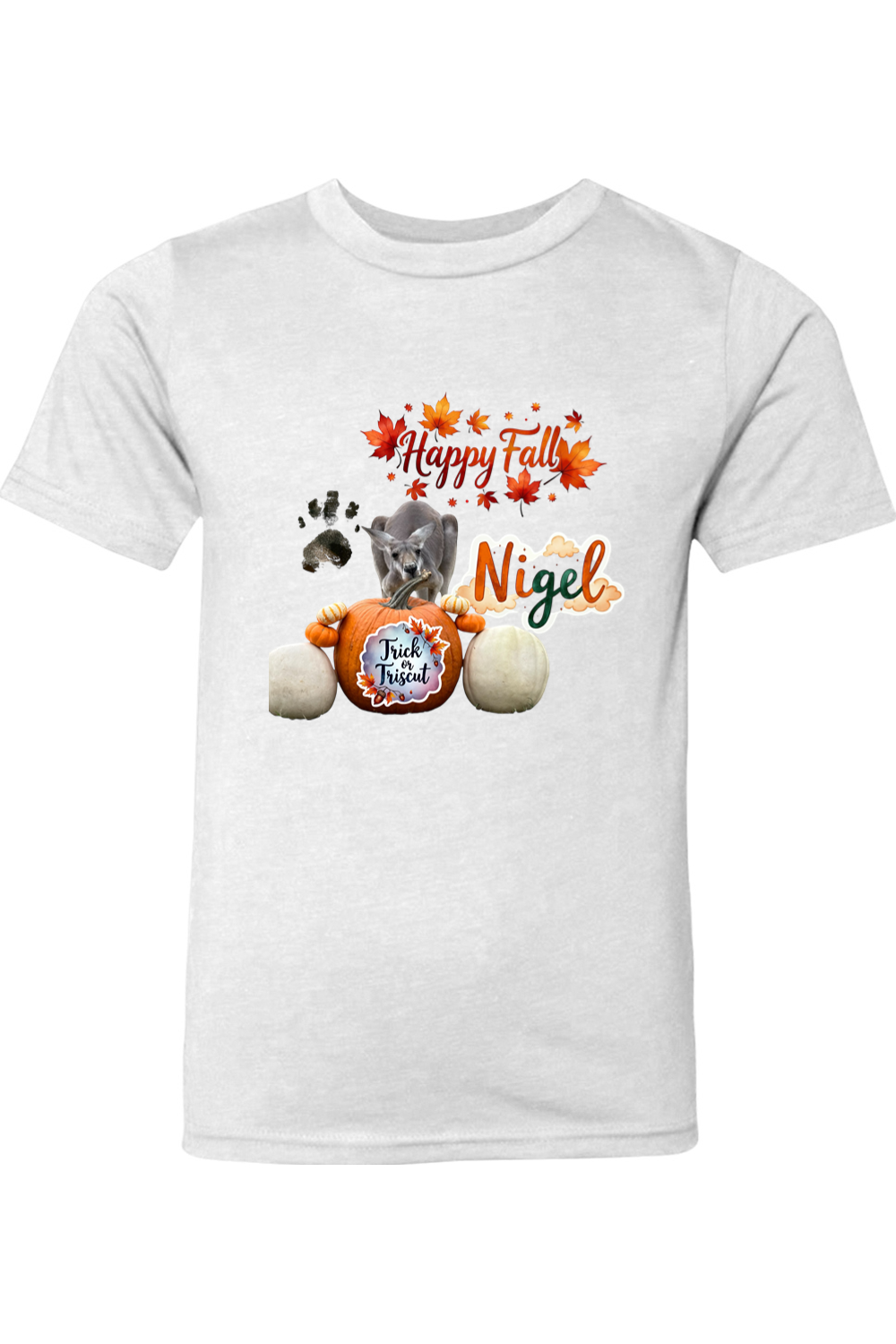 Happy Fall 1 Youth T-shirt
