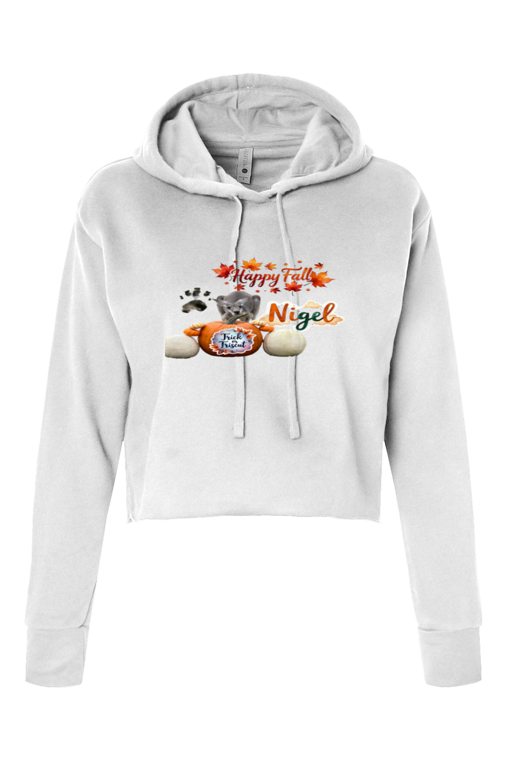 Happy Fall 1 Women's Cropped Hoodie