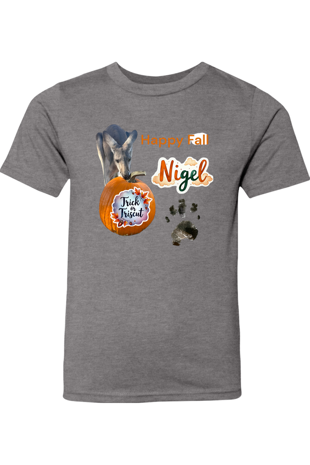 Happy Fall 2 Youth T-shirt