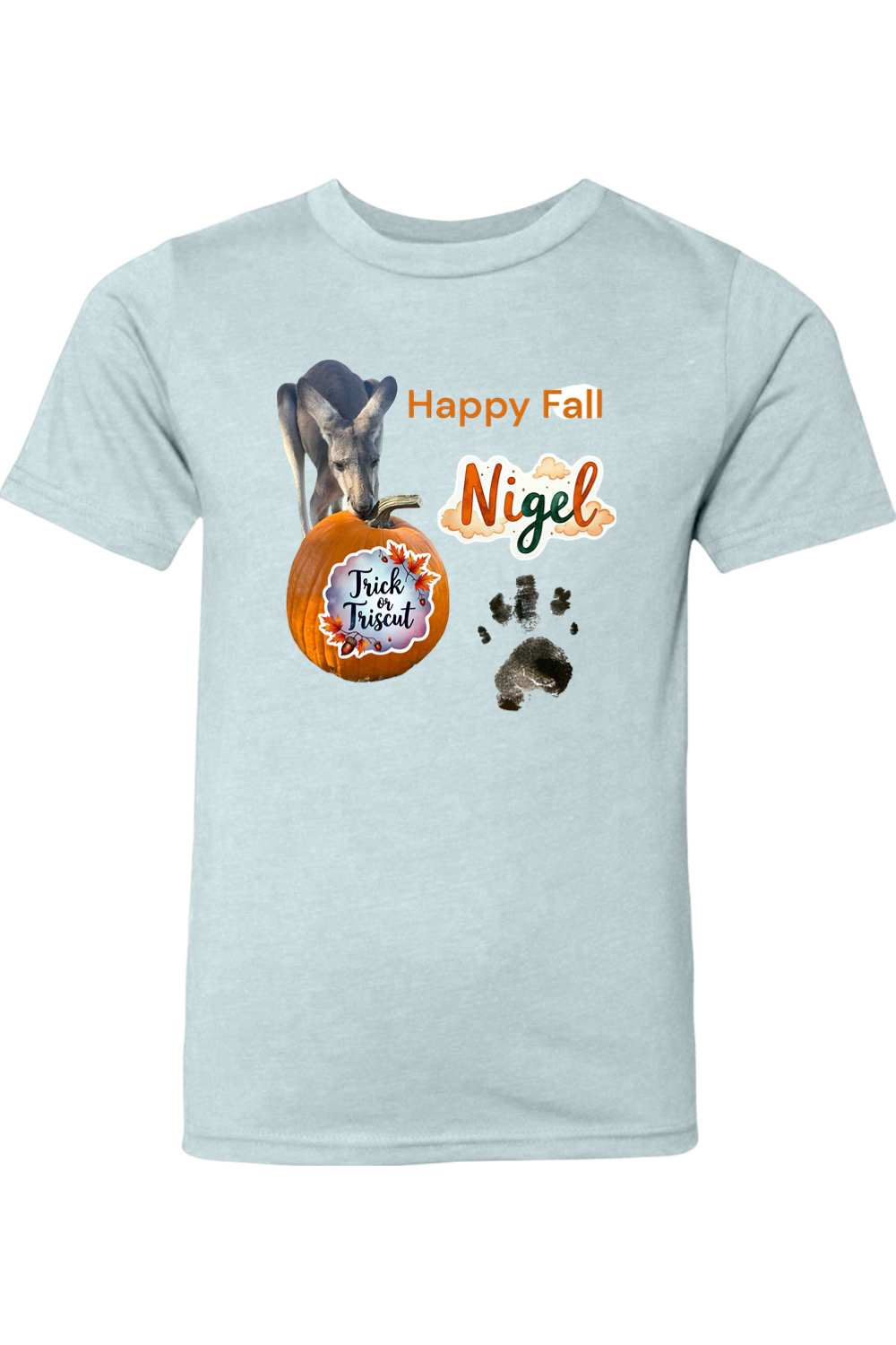 Happy Fall 2 Youth T-shirt