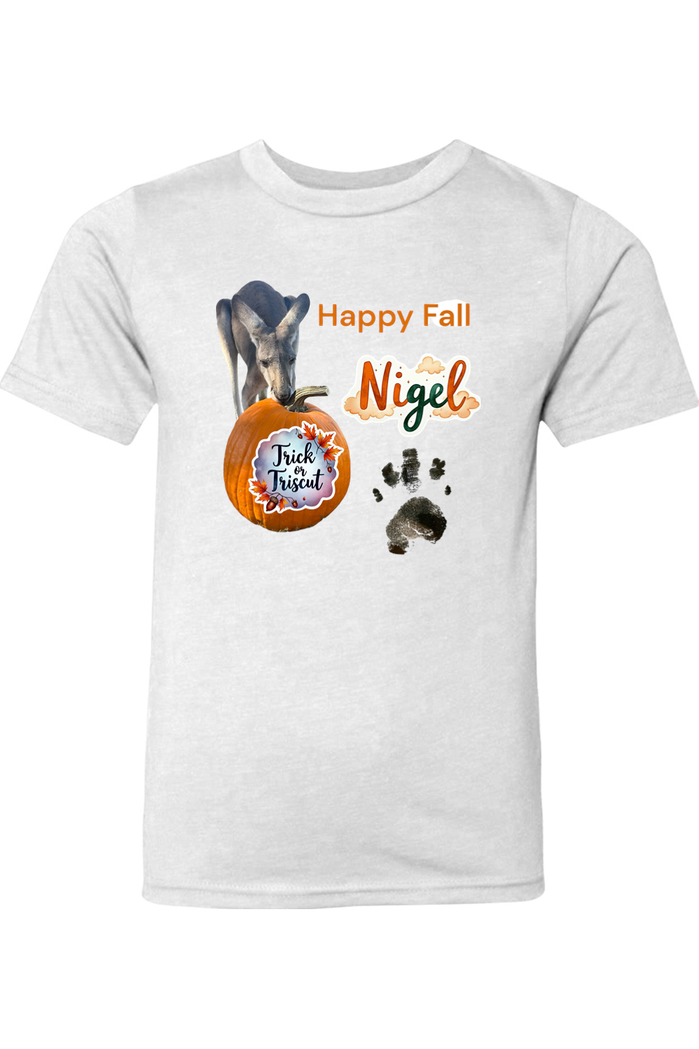 Happy Fall 2 Youth T-shirt