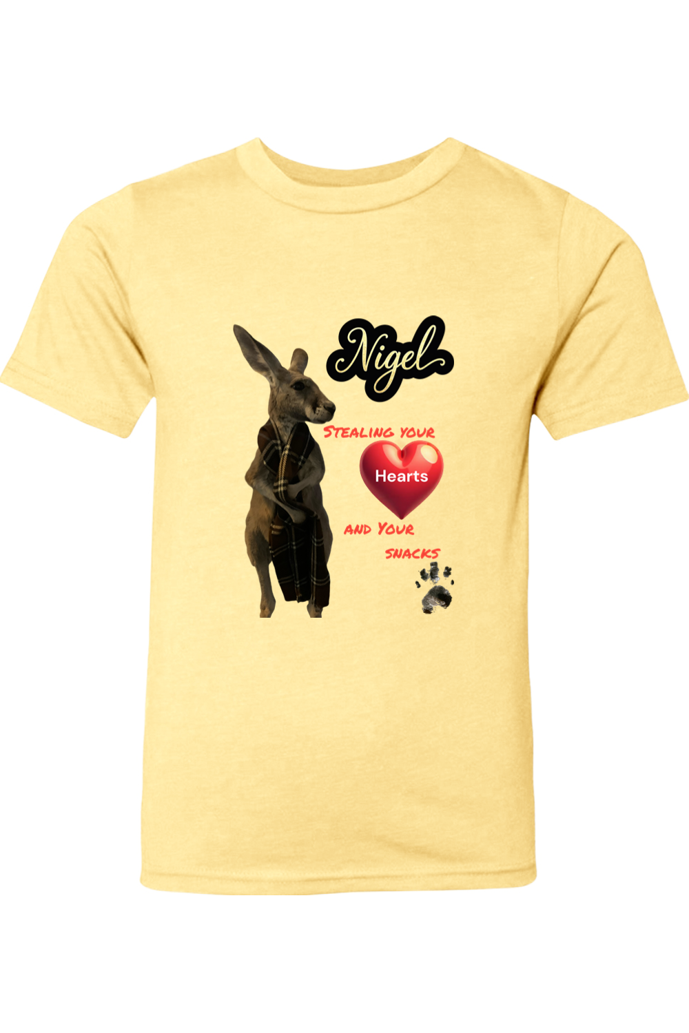 Stealing Hearts Youth T-shirt