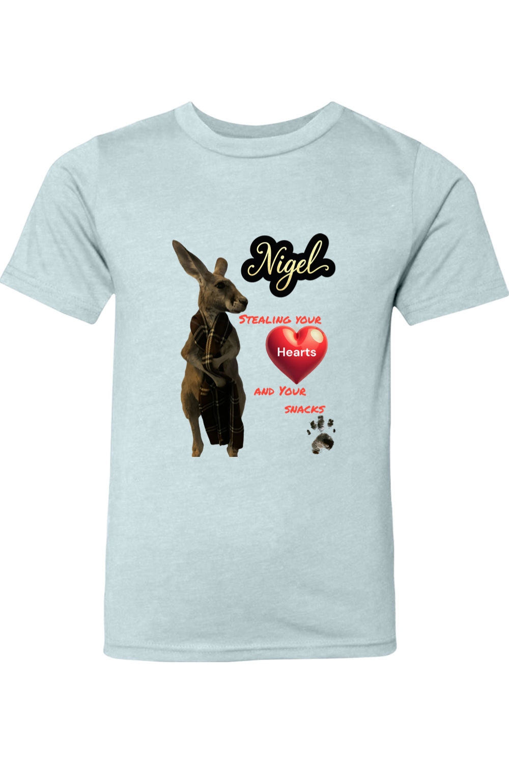 Stealing Hearts Youth T-shirt