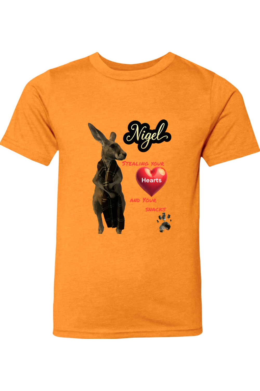 Stealing Hearts Youth T-shirt