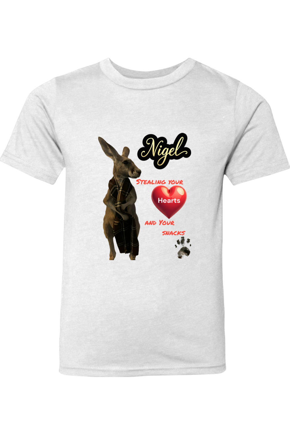 Stealing Hearts Youth T-shirt