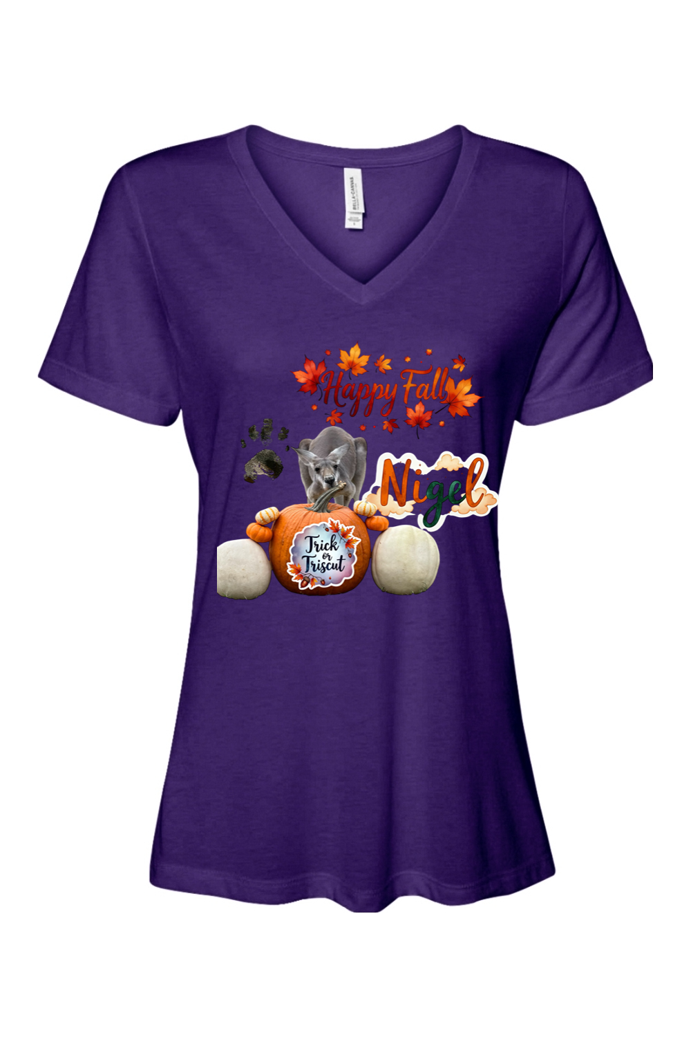 Happy Fall 1 Relaxed Fit Womens T-shirt