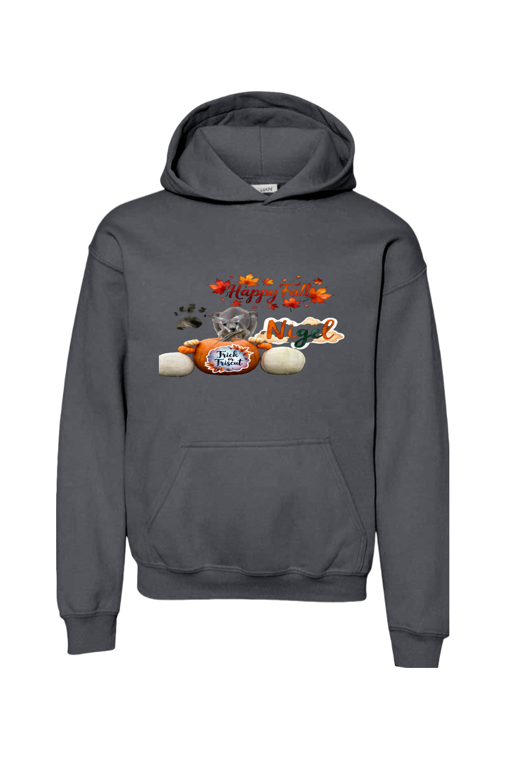 Happy Fall 1 Unisex Youth Hoodie