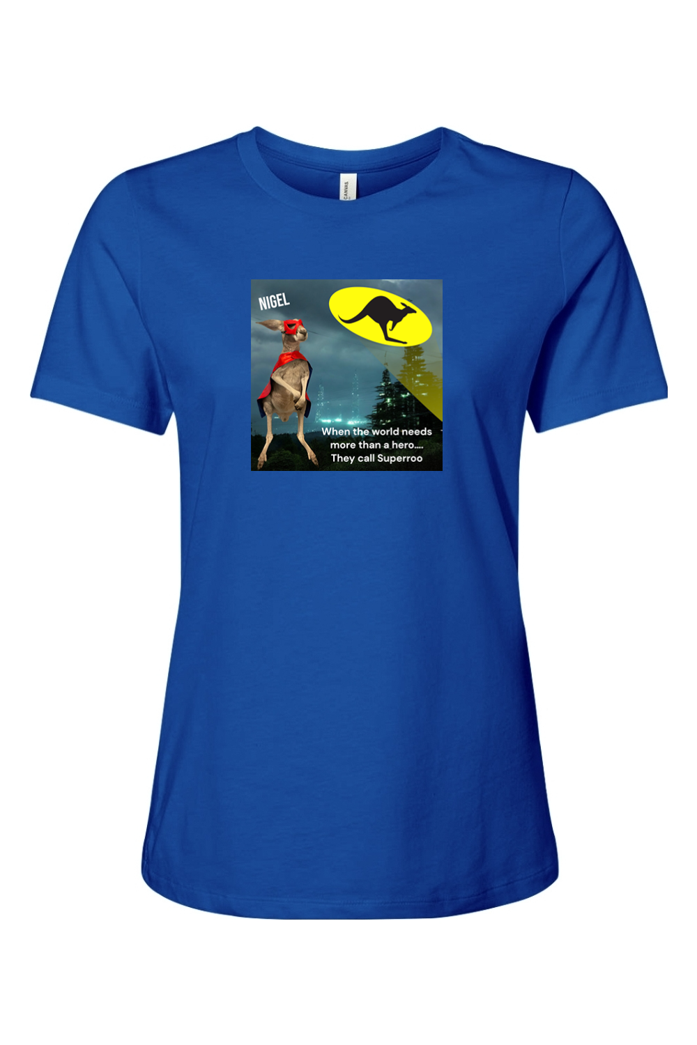 More Than A Hero Womens T-shirt