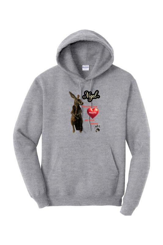 Stealing Hearts Unisex Hoodie Adult
