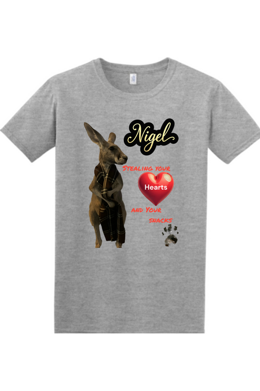 Stealing Hearts Mens T-shirt